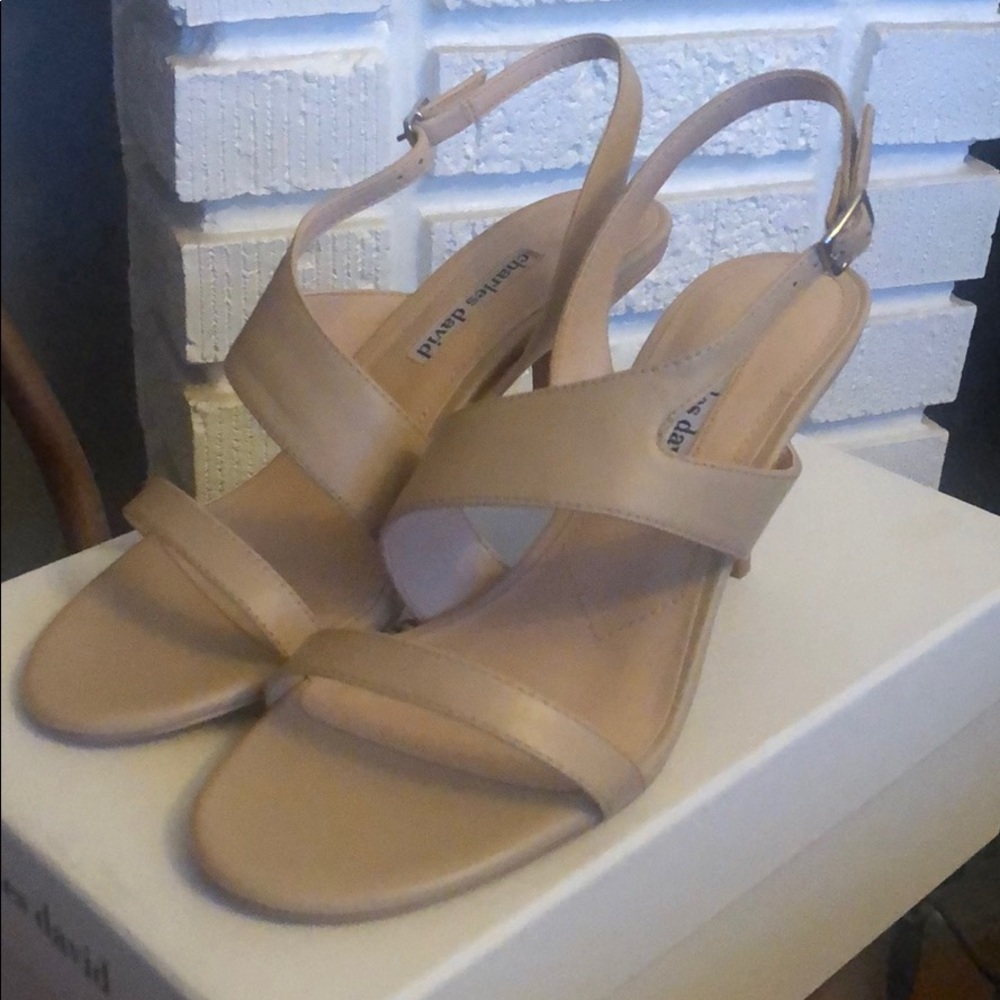 Charles David nude heels
